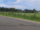 Land for Sale in Katunayake (Airport Resident Auction Estate).