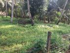 Land for Sale in Katunayake - Amandoluwa