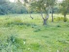 Land for Sale in Katunayake - Amandoluwa