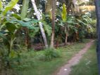 Land for Sale in Katunayake - Amandoluwa.