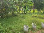 Land for Sale in Katunayake