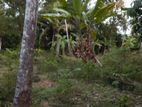 Land for Sale in Katunayake