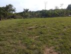 Land for Sale in Katunayake