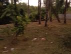 Land for Sale in Katunayake