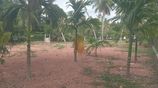 Land for Sale in Katunayake