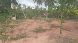 Land for Sale in Katunayake