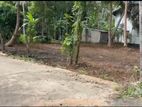 Land for Sale in Katunayake