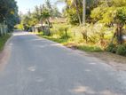 Land for Sale in Katunayake - Madawala