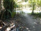 Land for Sale in Katunayake - Maduwa