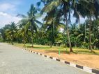 Land for sale in katunayake seeduwa