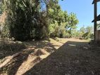 Land for Sale in Katunyake - Kotarupe