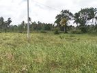 Land for sale in Katupotha Kurunegala