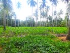 Land for Sale in Katupotha, Kurunegala ISH037L