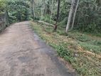 Land for sale in Kegall Hiriwadunna