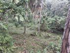Land for sale in Kegall Hiriwadunna