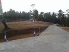 Land for Sale in Kegalle