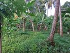 Land for Sale in Kegalle