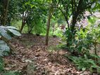 Land for Sale in Kegalle