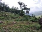 Land for Sale in Kegalle