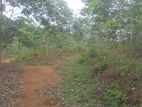 Land for Sale in Kegalle