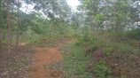 Land for Sale in Kegalle