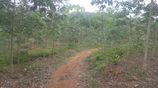 Land for Sale in Kegalle