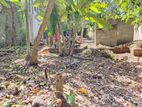 Land for Sale in Kegalle