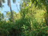 Land for Sale in Kegalle