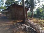 Land for Sale in Kegalle