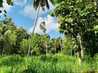 Land for sale in kekanadura