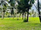 Land for Sale in Kekanadura