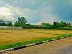 Land for Sale in Kekanadura