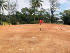 land For Sale In Kekanadura