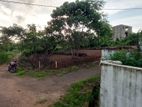 Land for Sale in Kekanadura