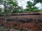 Land for Sale in Kekanadura