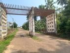 Land for Sale in Kekanadura