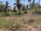 Land For Sale in Kekanadura - Matara(SSPL-332)
