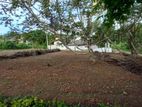 Land for Sale in kekanadurra