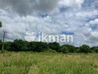 Land for Sale in Kekirawa,muriyakadawala