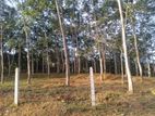 Land for sale in Kekuladola !