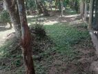 Land for sale in Kelaniya 20P