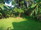 Land for Sale in Kelaniya 25 P