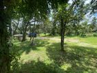 Land for Sale in Kelaniya Biyagama Road
