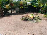 Land for Sale in Kelaniya