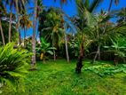 Land for Sale in Kelaniya