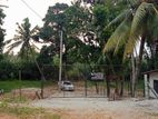 Land for Sale in Kelaniya