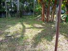 Land for Sale in Kelaniya Gonawala SAN/L0010