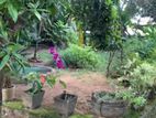 Land for Sale in Kelaniya - PDL13