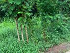 Land for Sale in Kengalla