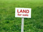 Land for sale in kesbewa bandaragama road welmilla